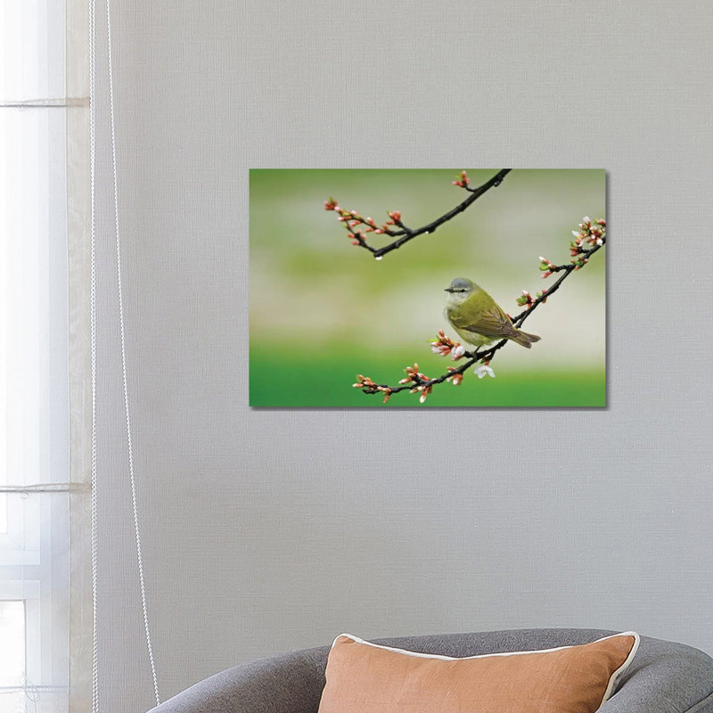 Canada, Manitoba, Winnipeg by Jaynes Gallery - Wrapped Canvas Print, 45.72cm H x 66.04cm W x 1.905cm D