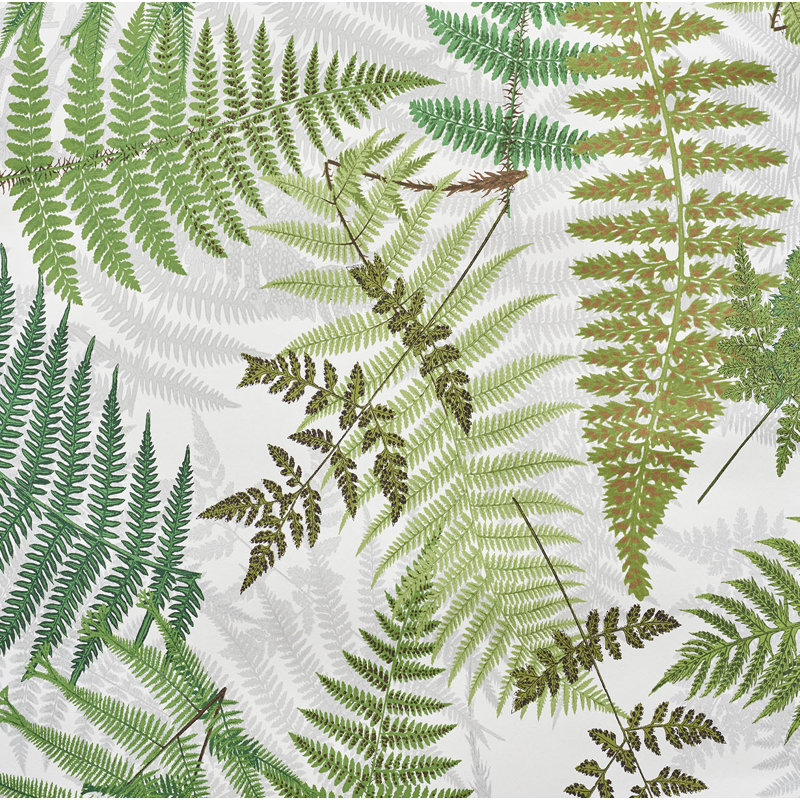 Papier peint Schumacher x Clements Ribeiro Fernarium, Ivoire / feuille