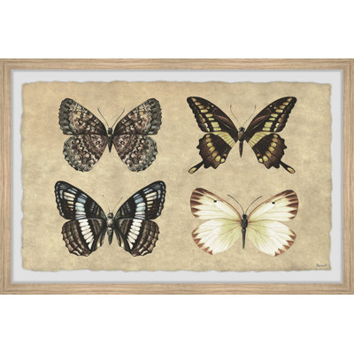 Her Wings Unfolded - Single Picture Frame Print