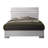 Nadler Standard Bed(Only Bed)-31436312