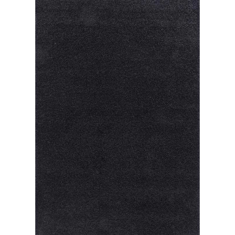 Esterly Shaggy Black Area Rug, Runner 60 x 220cm