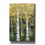 «Birch Treeline II» par Jade Reynolds, art mural sur toile-61710087