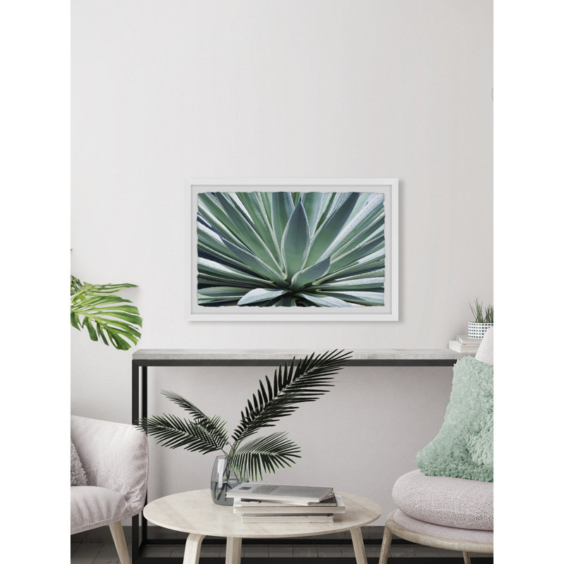 Gorgeous Agave 1 Piece Single Picture Frame Painting, 20 cm H x 30 cm W