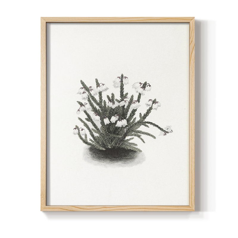 Impression florale vintage encadrée CLxxi - bois massif, Naturel, H 30 po x l 24 po