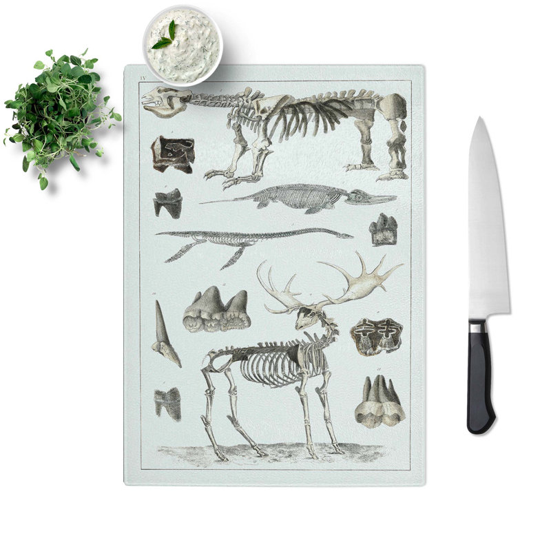 Tempered Glass Animal Bones IV Chopping Board, 28.5 cm W x 39 cm L