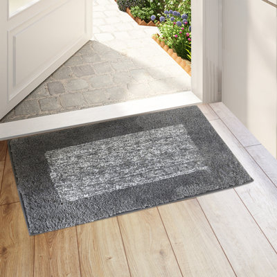 Tapis d'entrée antidérapant Cassendra