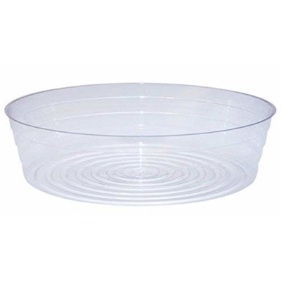 Saucer Plant Stand