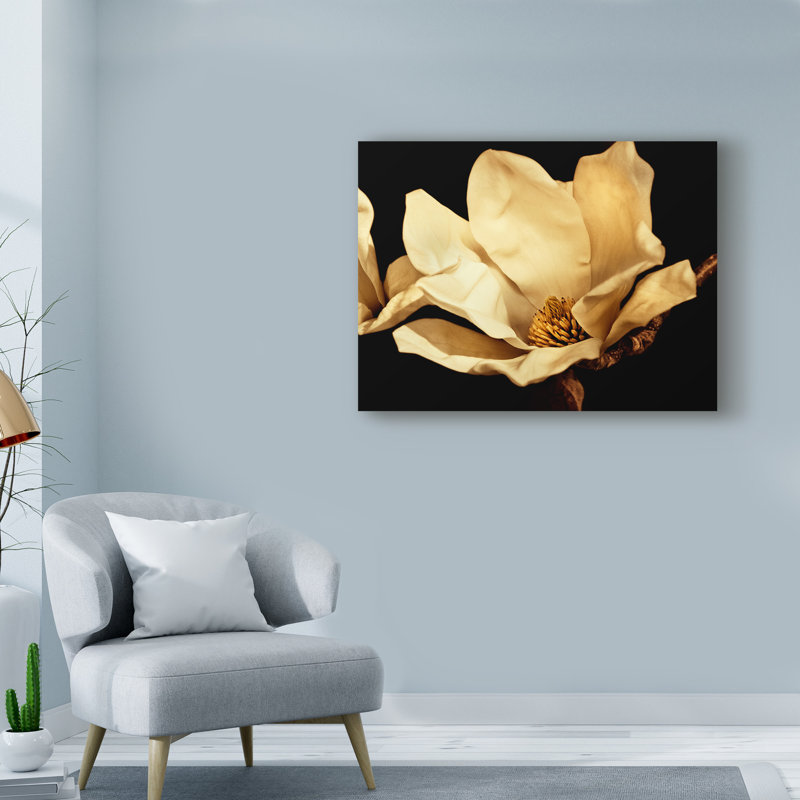 « crème au beurre magnolia i », reproduction de photo sur toile tendue, H 18 po x l 24 po x P 2 po