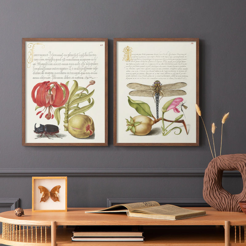 Reproduction encadrée Hoefnagel de spéculations tropicales de qualité supérieure - prêt à accrocher - aucun clou requis