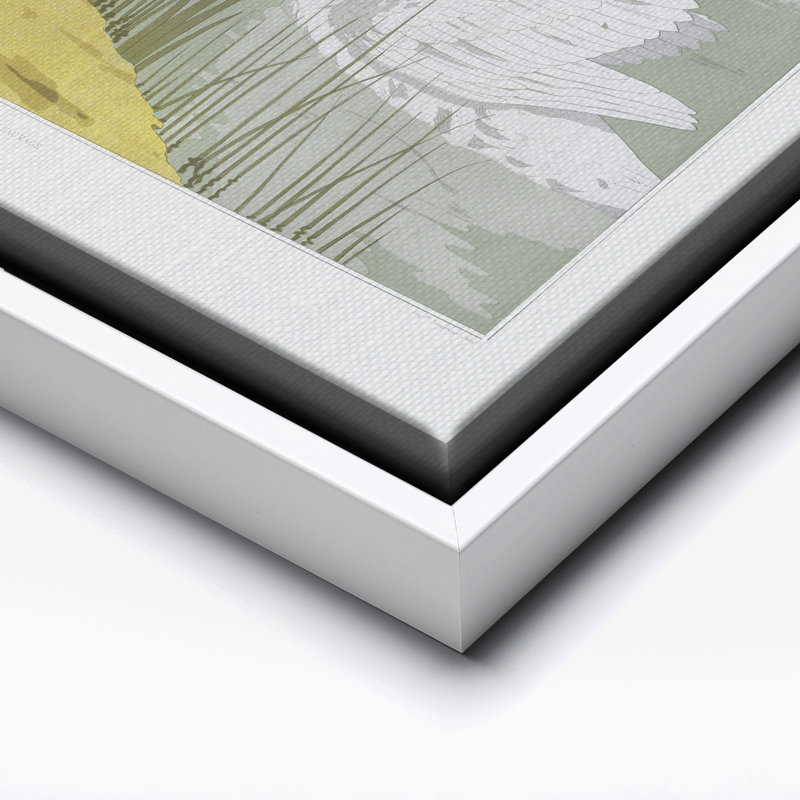 Cygnes blancs blancs, Canevas, Encadrement blanc, H 11 po x l 14 po