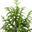 Pin artificiel Norfolk-905056971