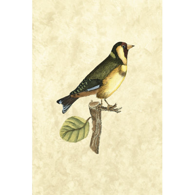 Selby Birds I - Wrapped Canvas Painting