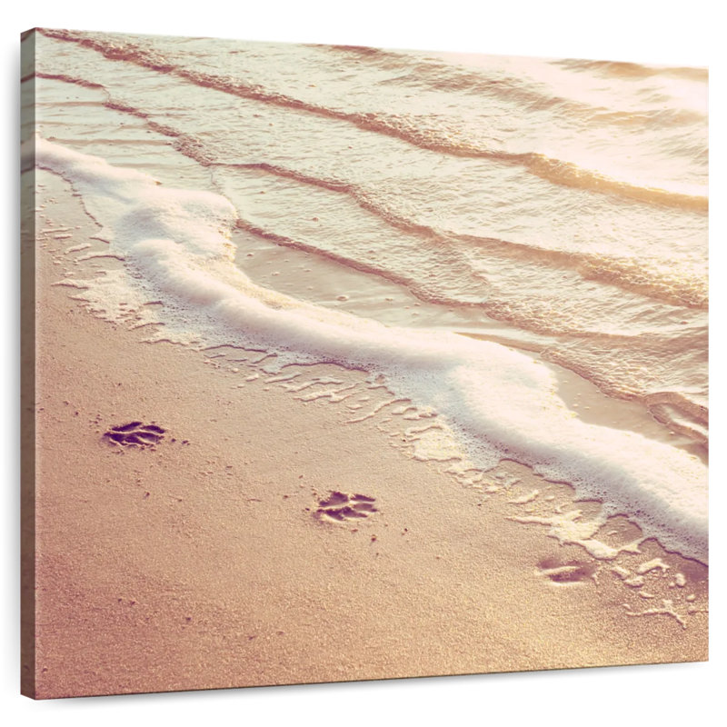 Gillard Paw Prints, H 20 po x l 20 po