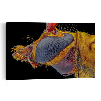 Œil d'insecte doré vibrant, portrait d'abeille contemporain vibrant, impression d'art mural nature