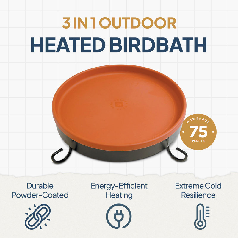 Birdbath