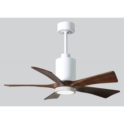 Patricia 42'' Ceiling Fan with LED Lights