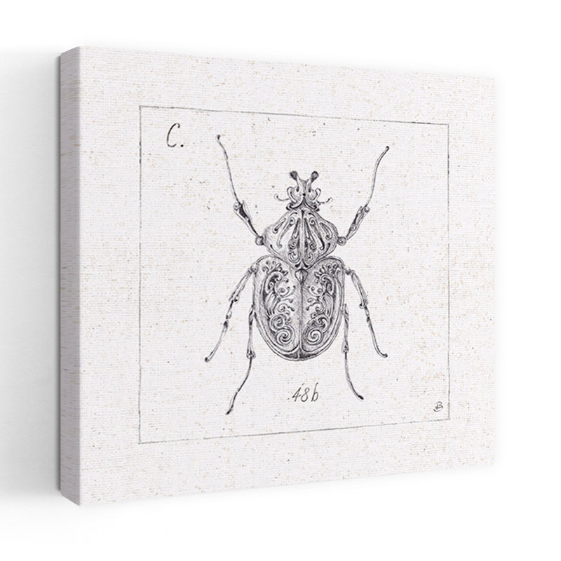 Art contemporain Beetle Art contemporain, H 18 po x l 18 po