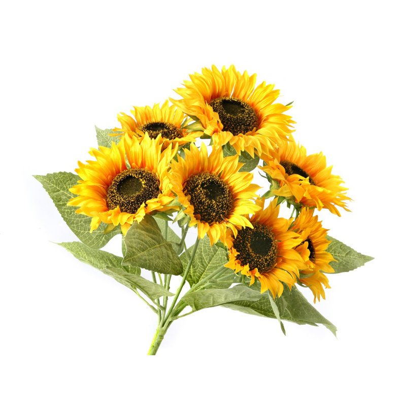 Tige de tournesol Bush Times