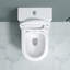 Close Coupled Toilet