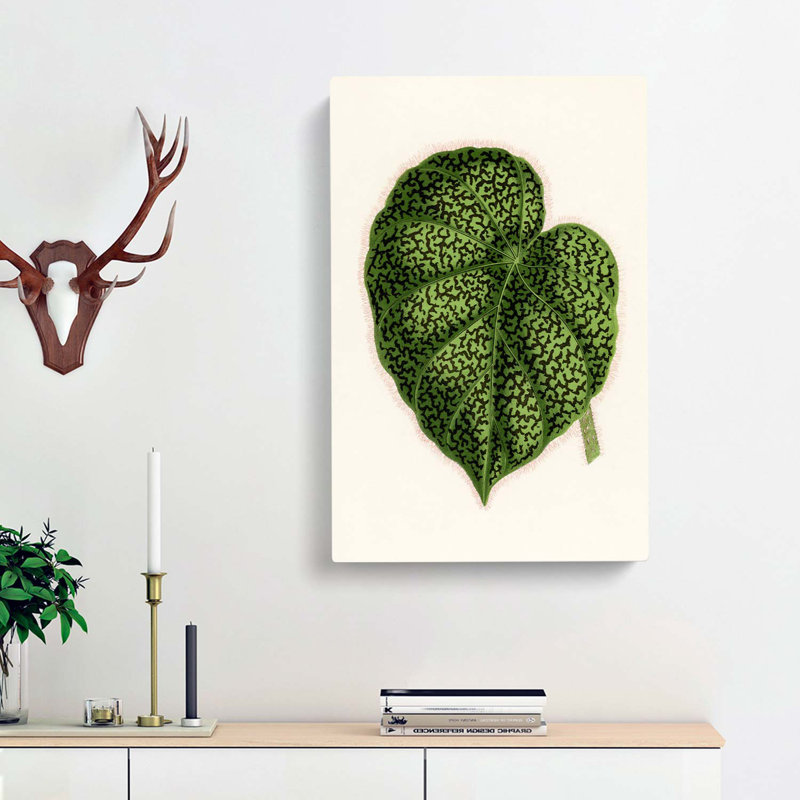 Illustration of a Green Leaf by Benjamin Fawcett - Wall Art, 76cm H x 50cm W x 3cm D, Wrapped Canvas