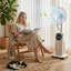 Pedestal Fan with Water Mist Spray