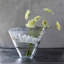 Jagger Glass Decorative Bowl