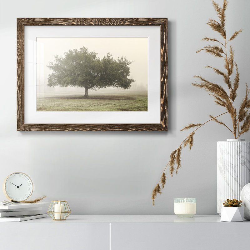 " Trees In The Fog II ", Noyer, H 18 po x l 26 po x P 1,5 po