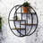 Effervescence Wall Shelf