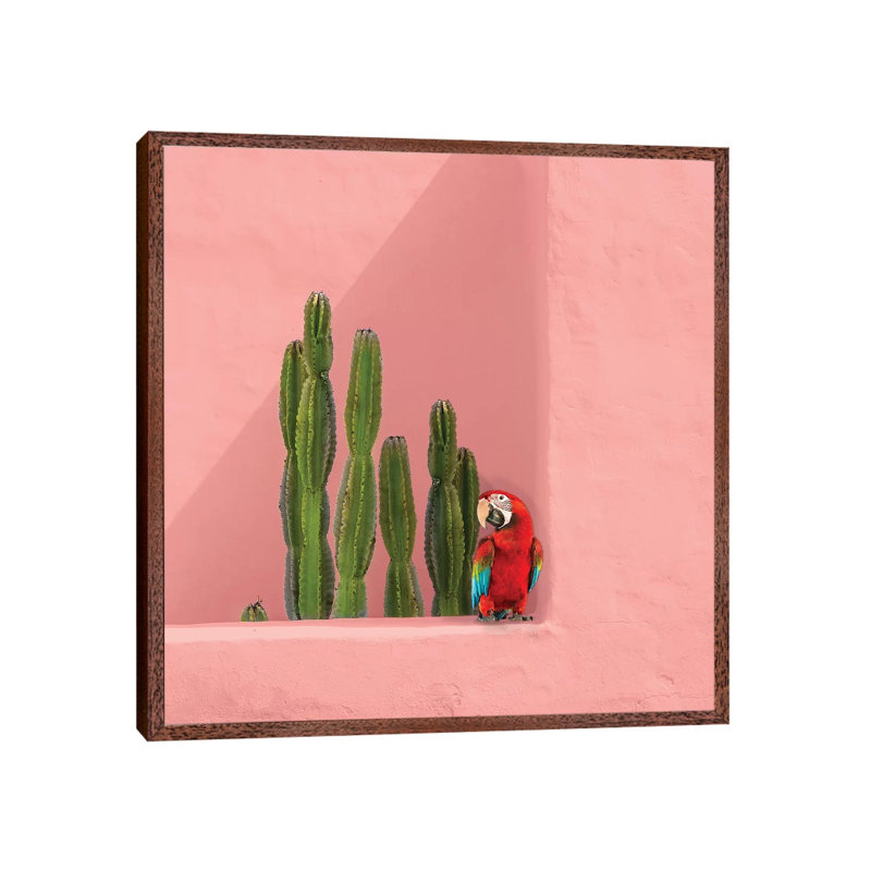 Macaw On Coral by Erin Summer - Print on Canvas, 66.04cm H x 66.04cm W x 3.81cm D, Classic Brown Wood Framed