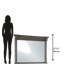 Laney Beveled Mirror