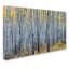« forest of aspen trees », reproduction de photo sur toile tendue-31105559