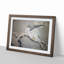 Falcon Birds by Matsumura Goshun - Picture Frame Painting Print-55535810-55535806
