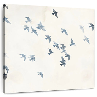 Brampt Pigeons ciel