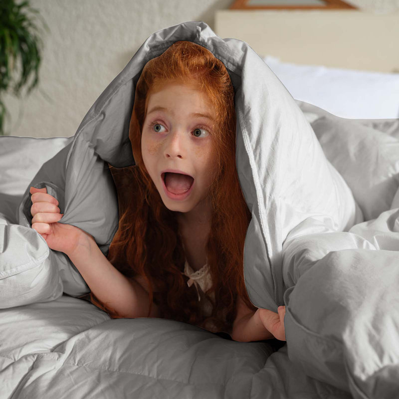 All Season Feather Down Fiber Comforter - Ultra Fluffy 100% Cotton Duvet Insert, Hotel Luxury Bedding, Twin Comforter, Gray