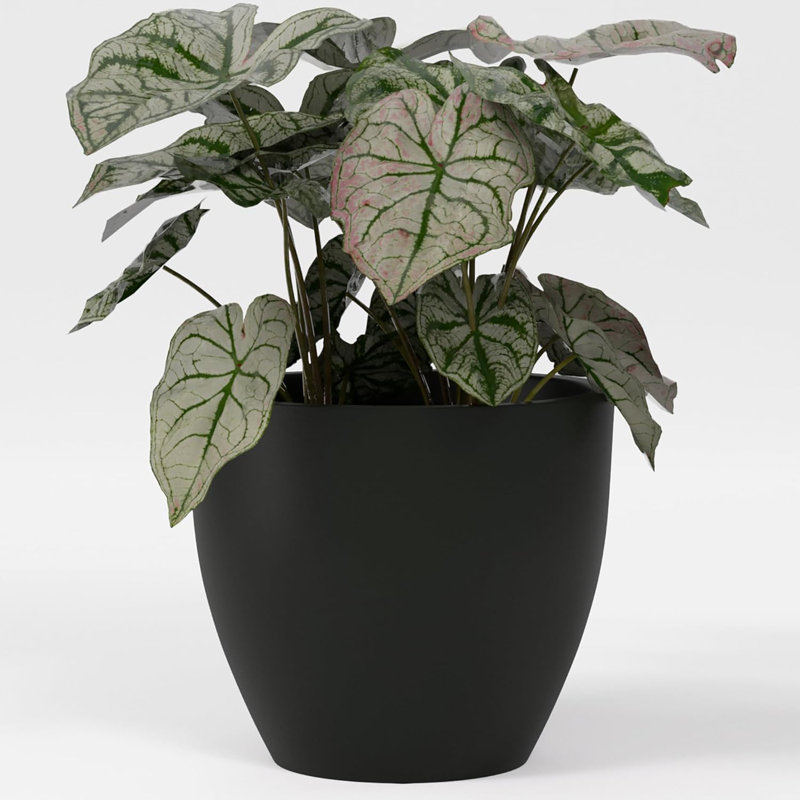 Greenline Fiberglass Lucy Large Indoor/Outdoor Round Planter -, 39" H x 44" W x 44" D, Matte Black