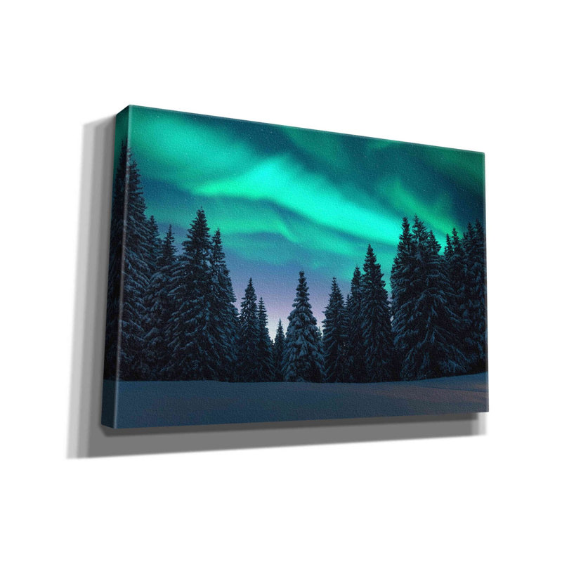 «Northern Lights In Winter Forest 3» par Epic Portfolio, estampe numérique sur toile, H 18 po x l 26 po x P 0,75 po