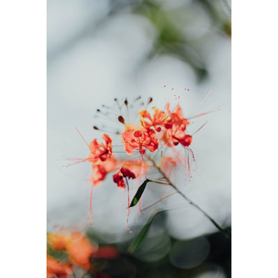 Été