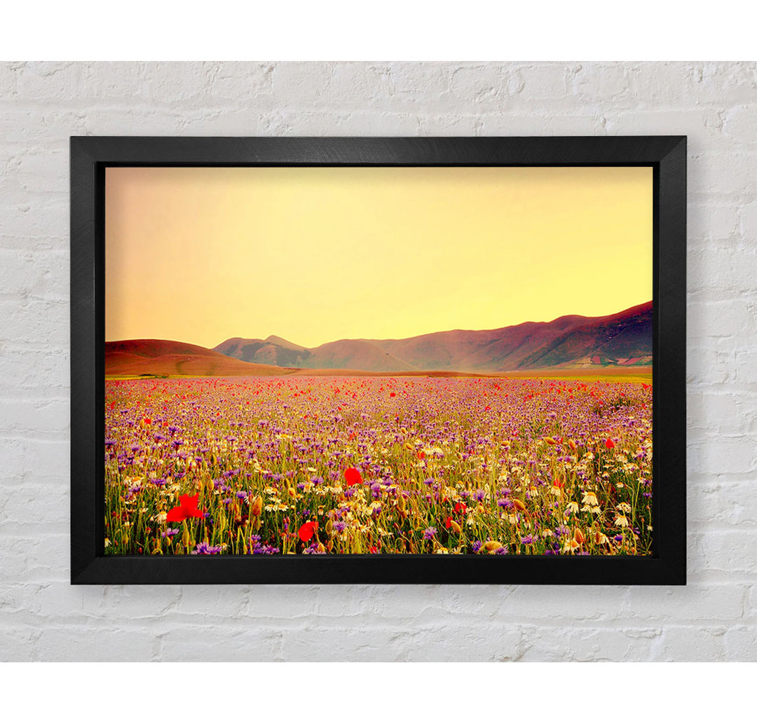 Sunny Field Of Beautiful Wild Flowers - Einzelner Bilderrahmen Kunstdrucke