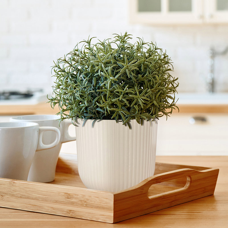 Jaxzan Pot Planter, 12.9 x 14.5 x 12