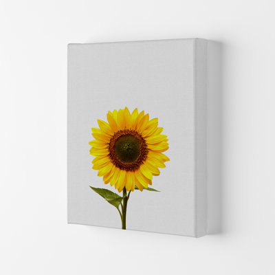 Sunflower Still Life - Print