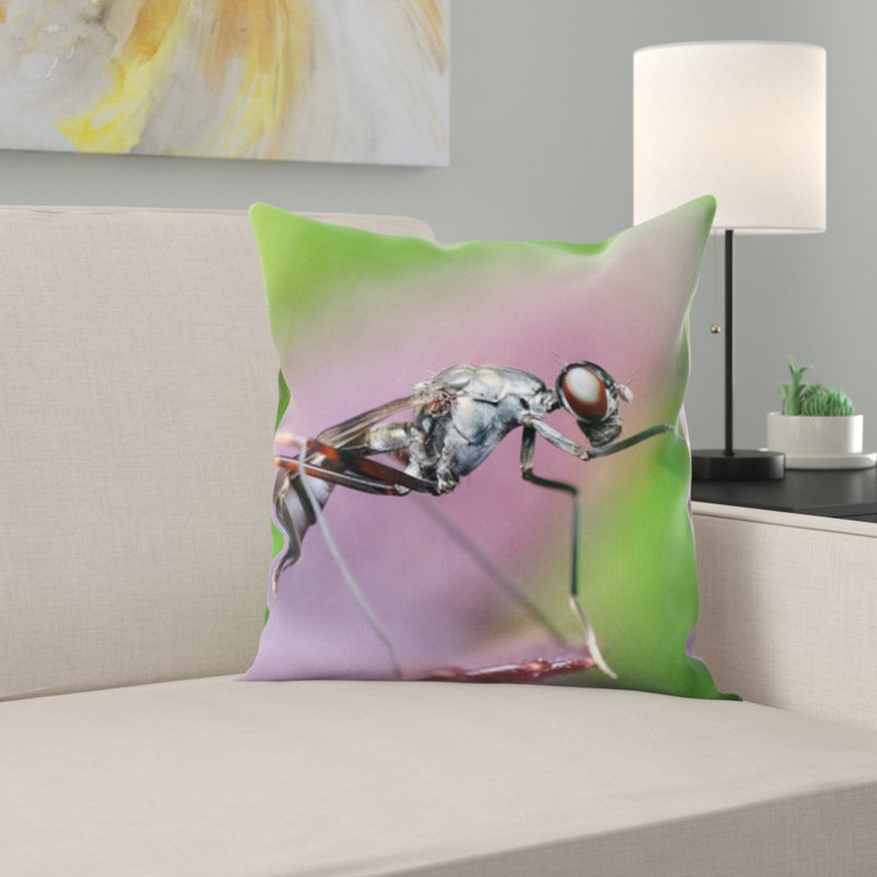 Coussin d’insectes