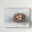 «Rustic Bird Nest II» par Ethan Harper, reproduction d'art sur toile tendue-2016342932