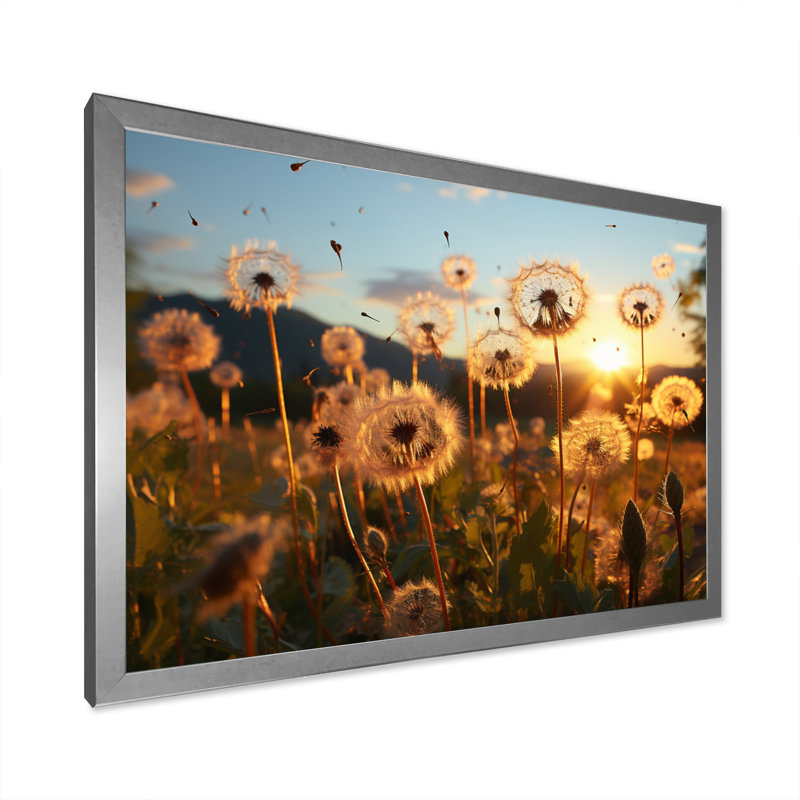 " Mountain Dandelion Field III ", 16" H x 32" W x 1" D, Silver Picture Framed