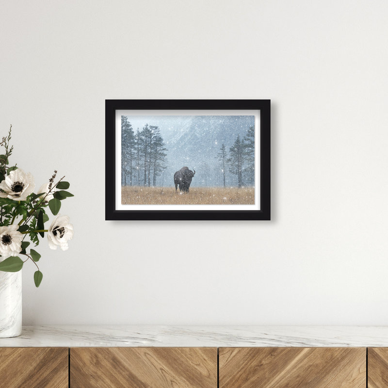 Mountain Bison II Print by Oliver Gal, 11.5" H x 16.5" W, Black Shadowbox