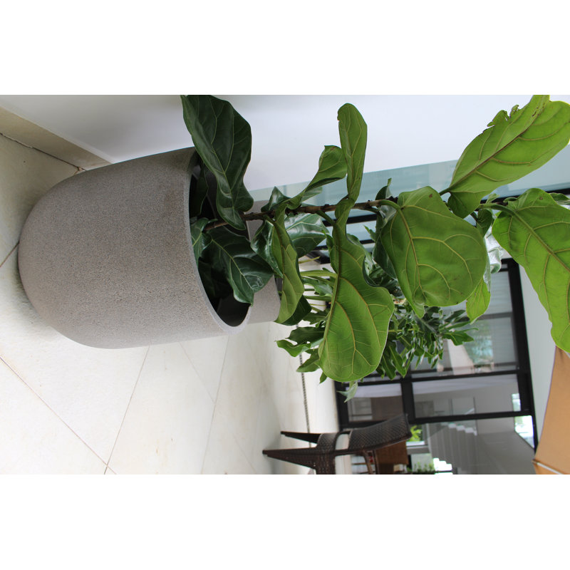 Pot Planter, 23.3" H x 18.2" W x 18.2" D