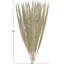 Grand feuillage naturel Cole and Grey Leaf