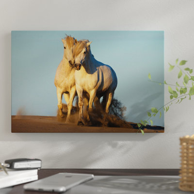 Paire de chevaux camarguais trotteurs, Camargue, Provence-Alpes-Côte d'azur, France par Jim Zuckerman - reproduction d'art sur toile tendue