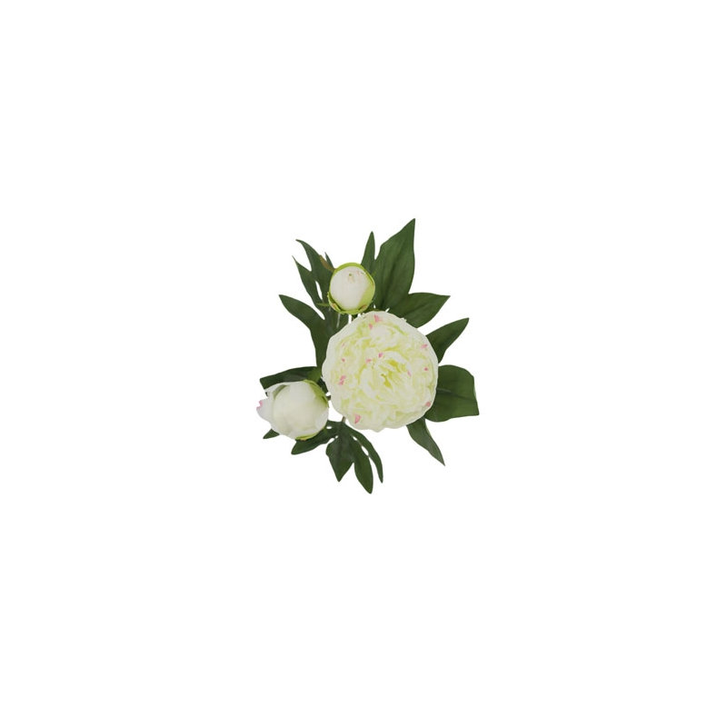 Artificial Cream Peony Stems