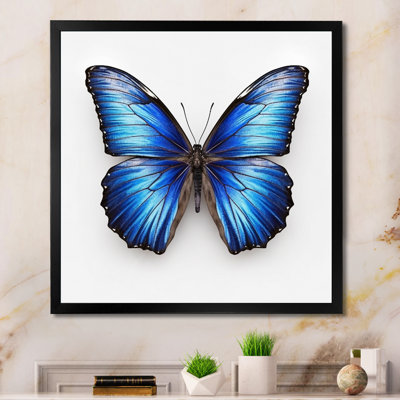 Vibrant Blue Butterfly II