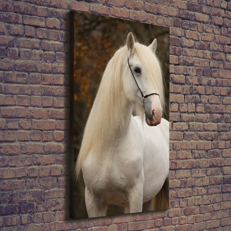 White Horse - Wrapped Canvas Print